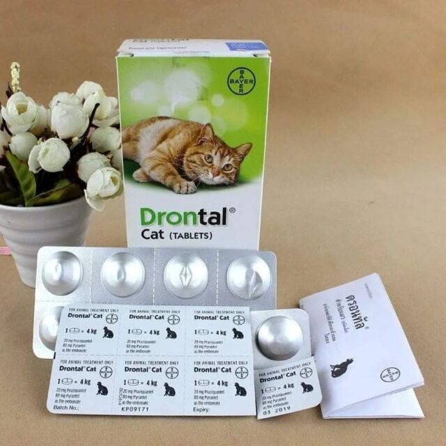 Drontal Cat Deworming Tablet - Effective Deworming Solution