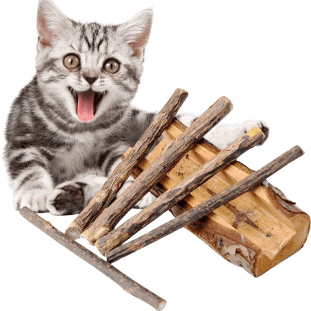 Cat Nip Sticks for Cats and Kittens (Pack of 5 Sticks)