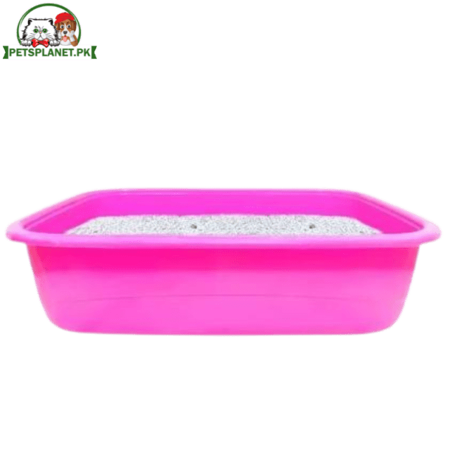 Kitten Litter Tray Pink Color