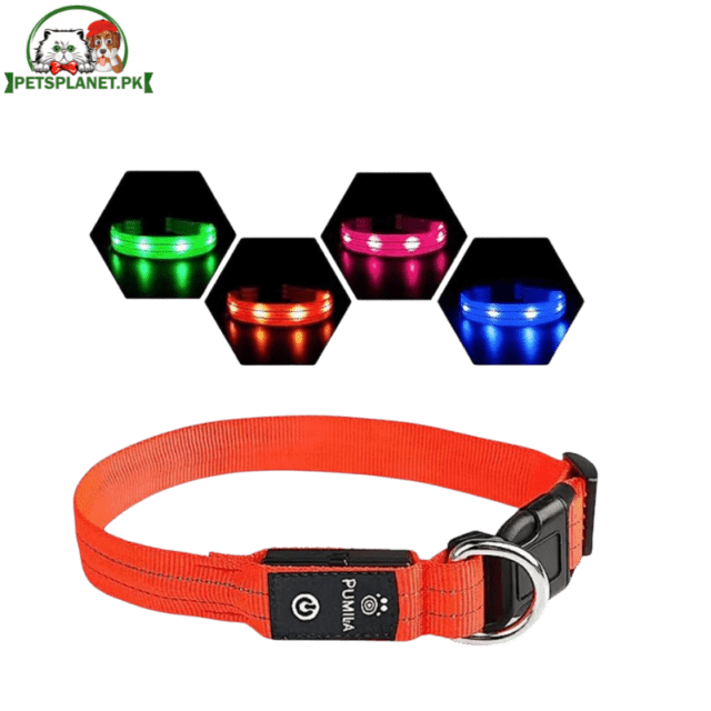 LED Collar