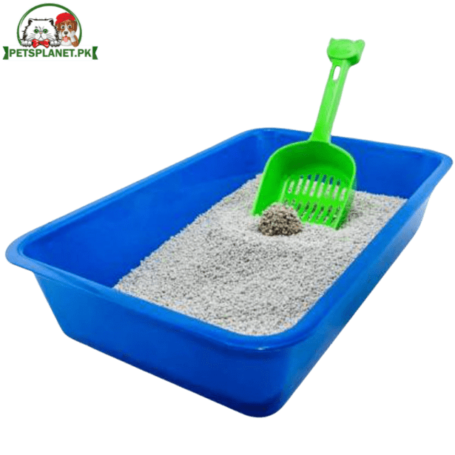 Extra Large Litter Tray with out Scoop Blue Color