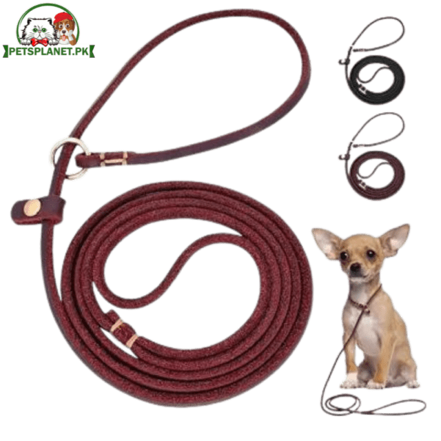 Dog Leash