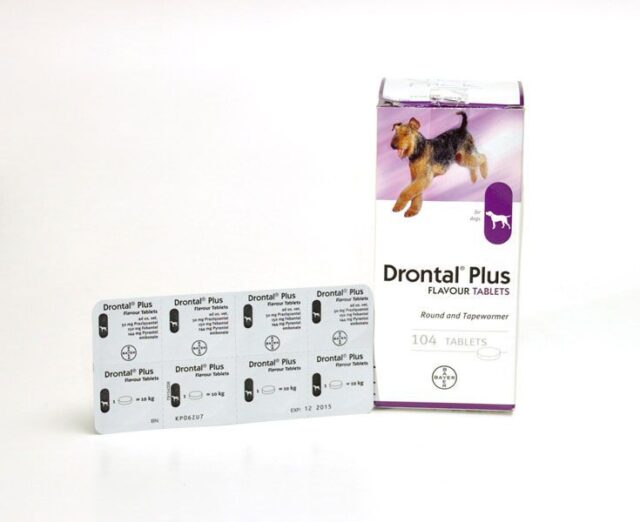 Drontal Plus for Puppies and Dogs 104 TAB BOX Price in Pakistan Free Shipping Pets Planet