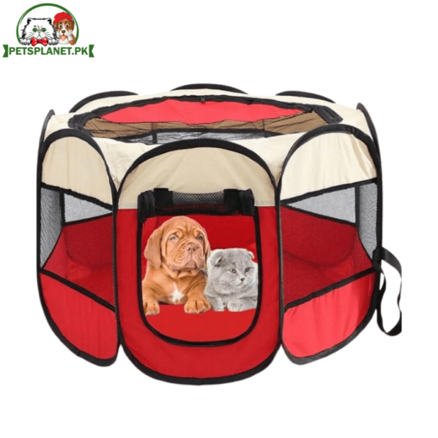 PET Kennel